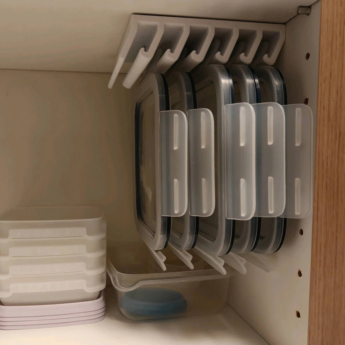 Lid Organizer with Hooks
